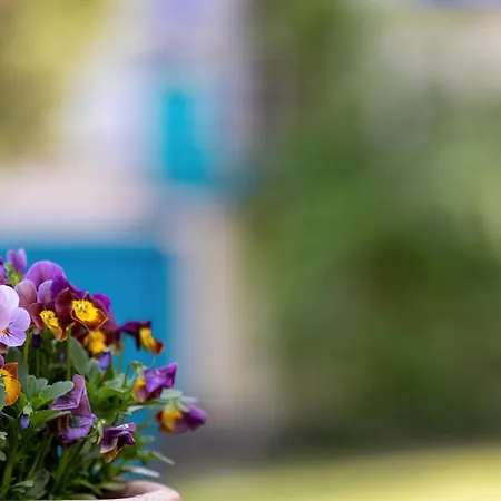 게스트하우스 Cos Przy Baltyku - Zaledwie 150 M Do Zejscia 3*